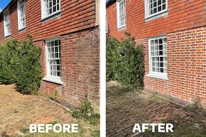 Lime repointing and steam clean in Ashford